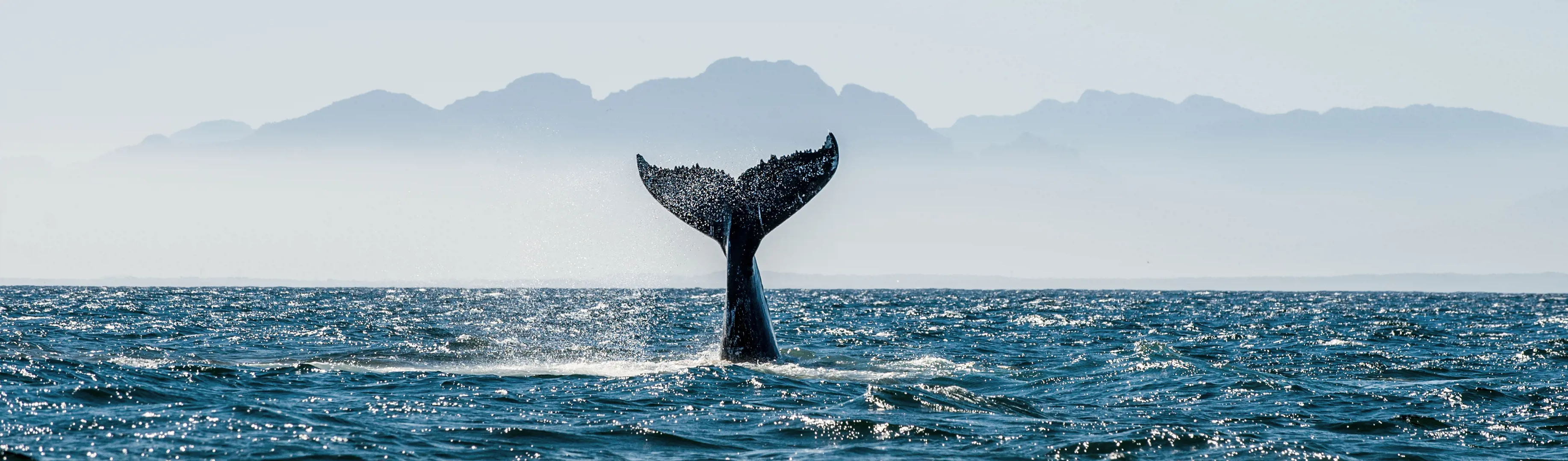 Azoren Height De Azoren, paradijs in de Atlantische Oceaan | Lauwers