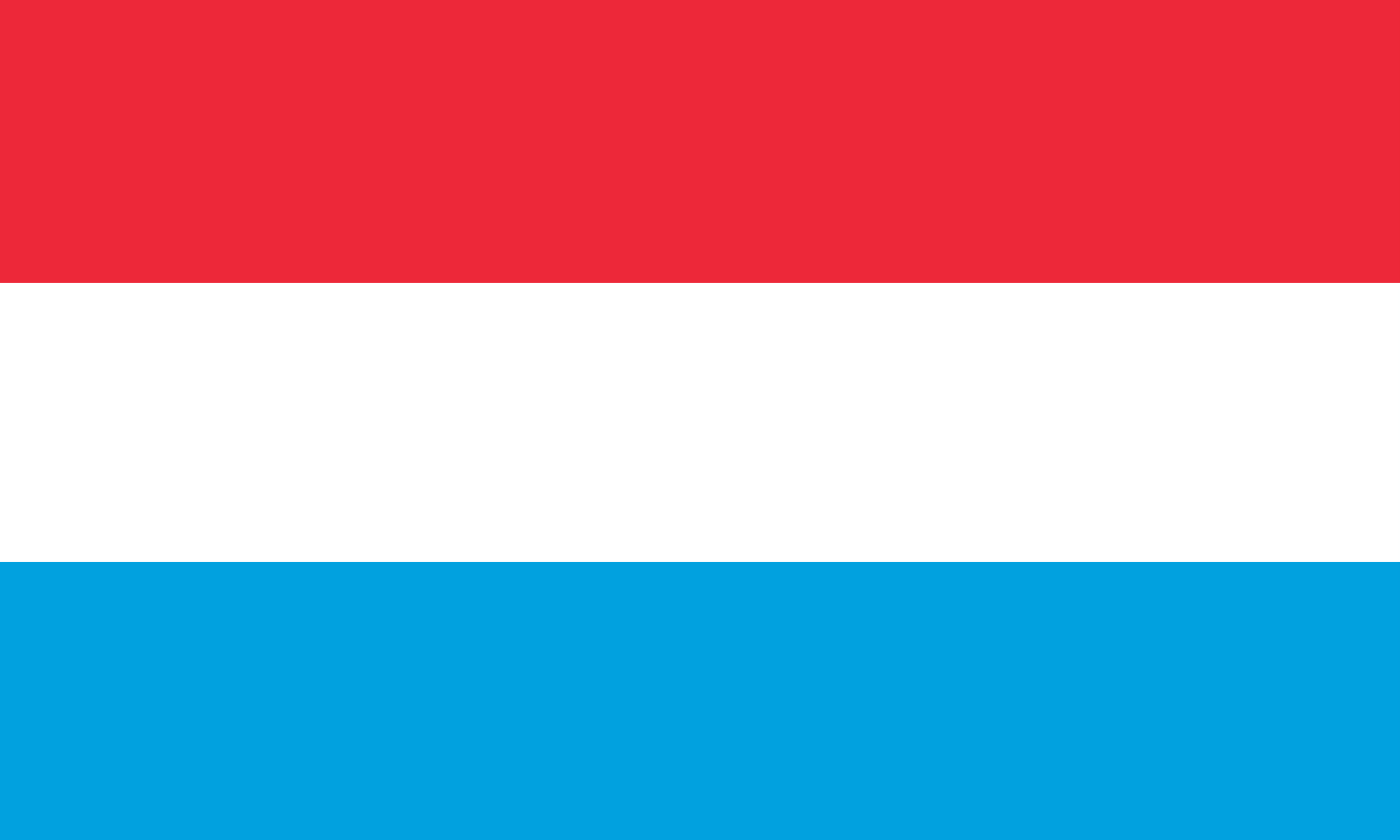 Vlag van G.H. Luxemburg
