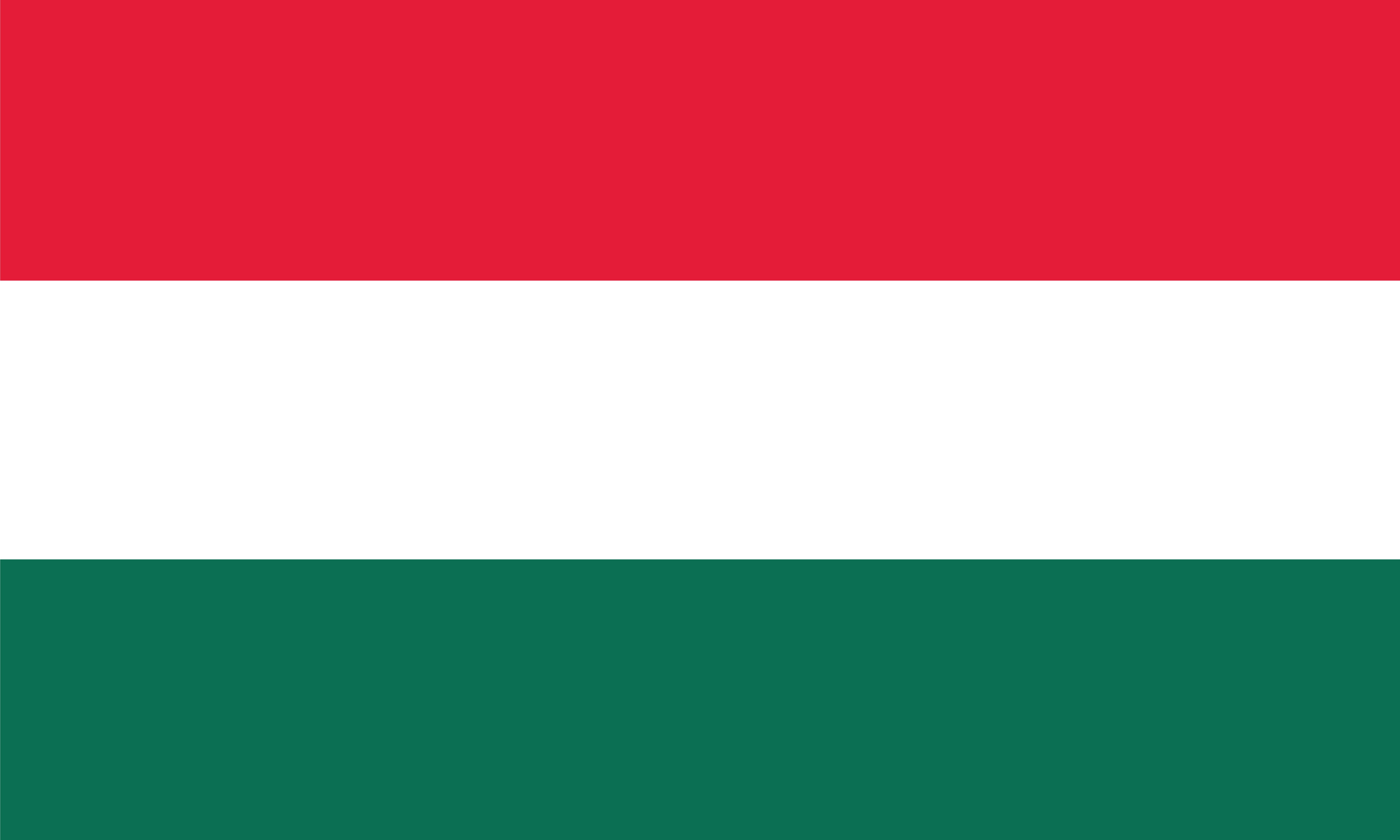 Vlag van Hongarije