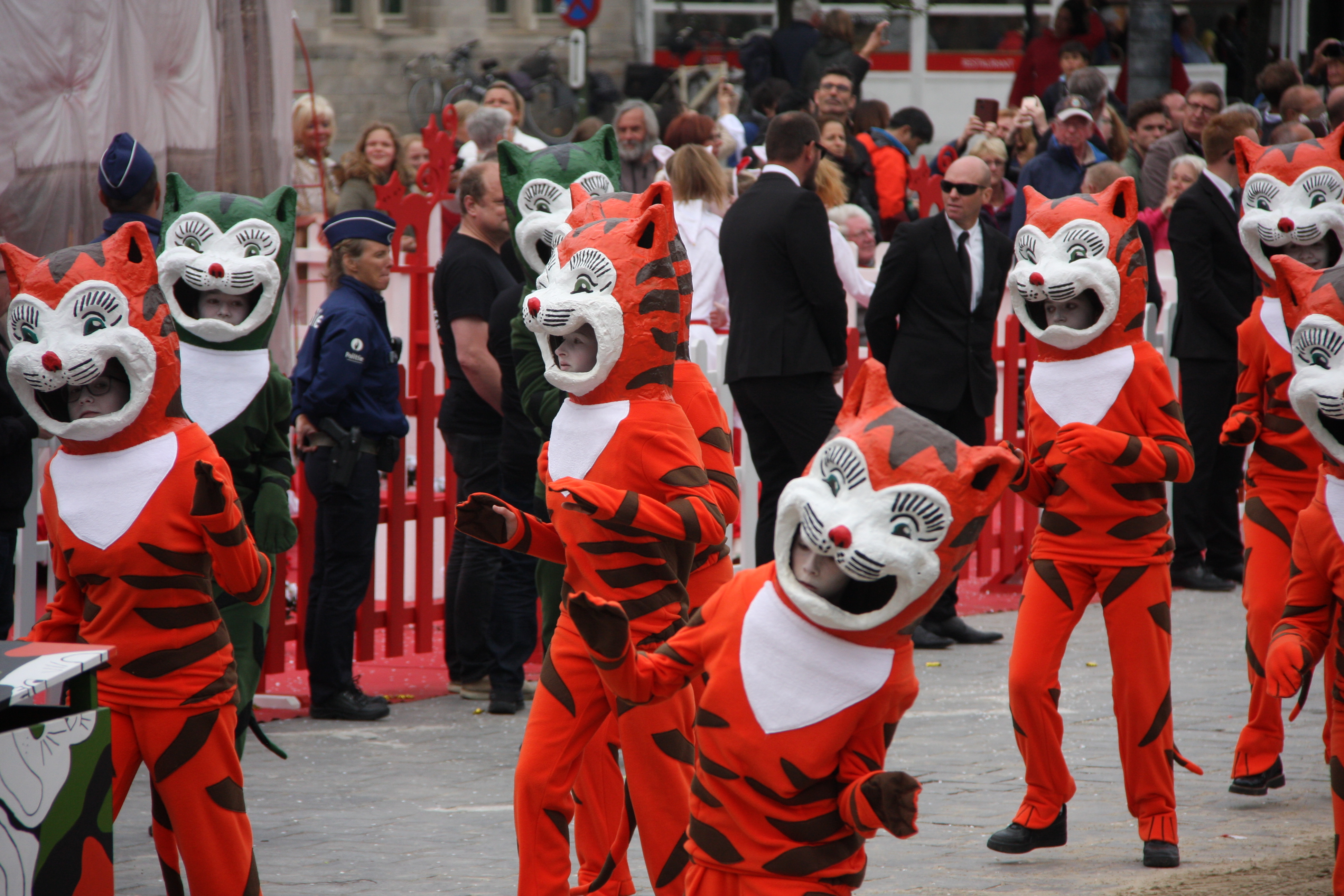 Kattenstoet in Ieper Lauwers