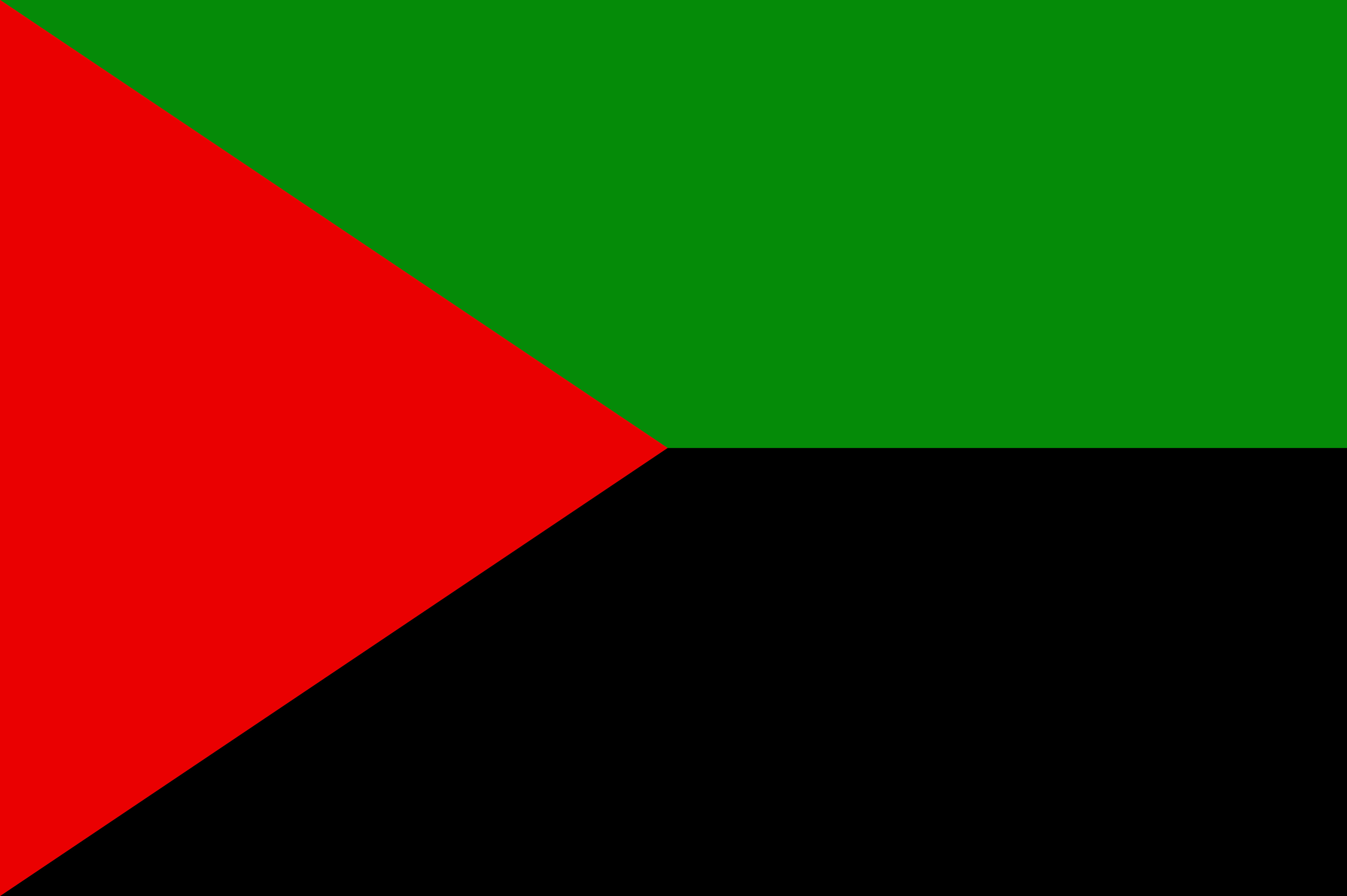 Vlag van Martinique
