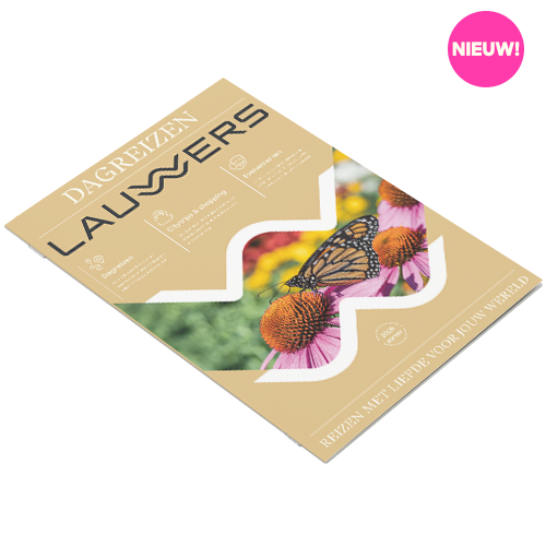 Dagreizen 2026 - zomer